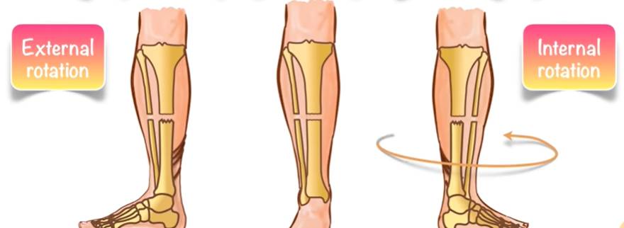 Types Of Bone Fractures Causes Symptoms And Treatment Welcome To