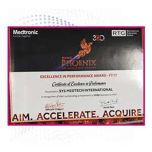 India Medtronic Pvt. Ltd. Excellence In Performance Award Fy-17